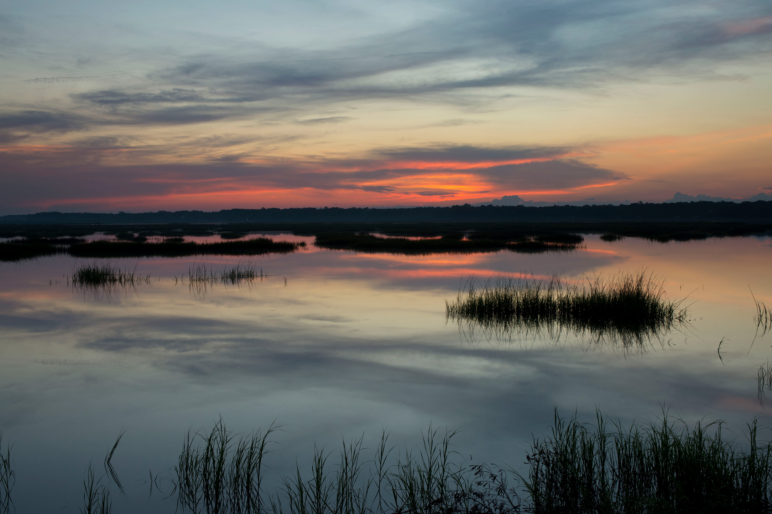 South Carolina horseshoe crab collection beach at sunset created for horseshoe crab conservation